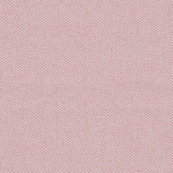 camira-era-cse19.jpg